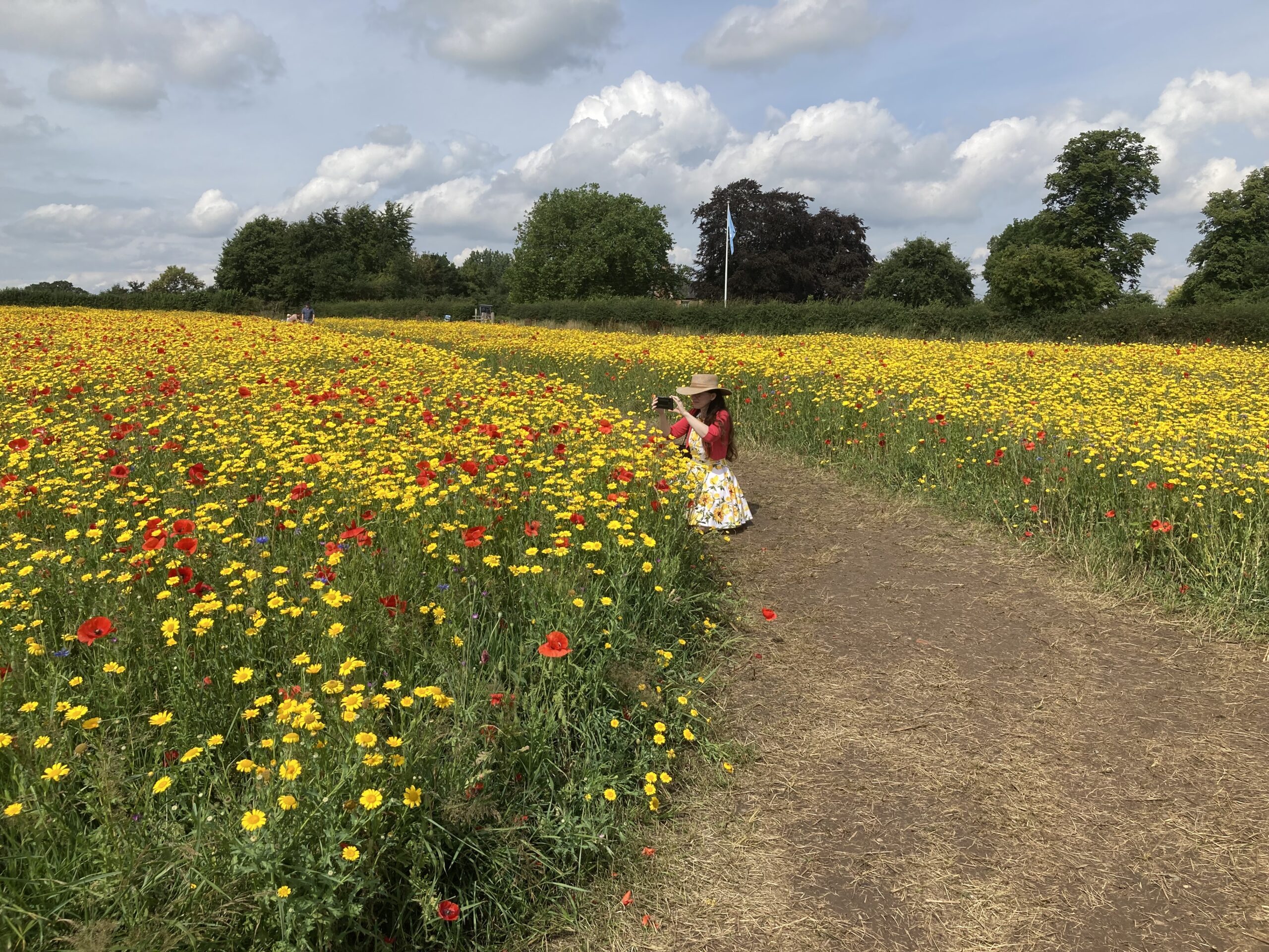 Ruth bent down on pathway through a field of poppies taking photos.