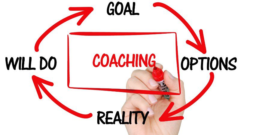 Flow chart showing different mentoring words.