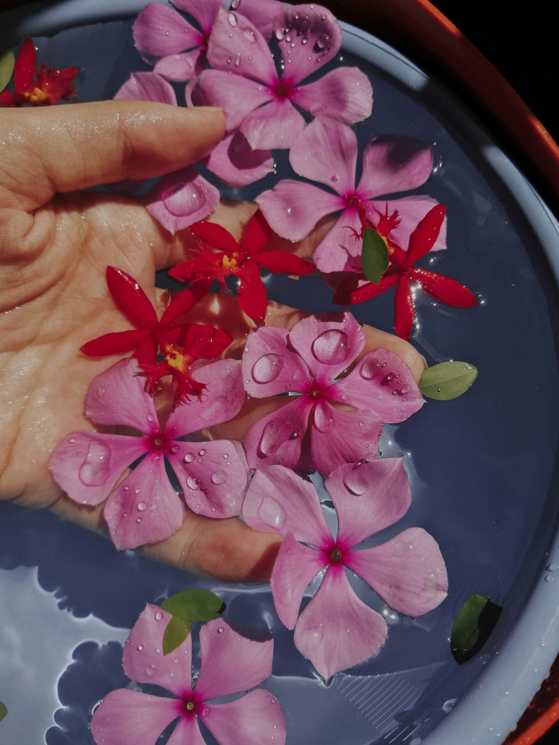 Soft hands releasing dried leaves or petals into flowing water.